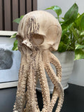 Hand Carved 11''standing Octopus oddities Carved Wooden Statue Carving