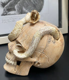 Carved Cobra Skull Sculpture Human Skull Carving