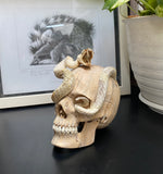 Carved Cobra Skull Sculpture Human Skull Carving