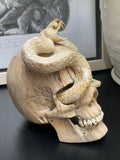 Carved Cobra Skull Sculpture Human Skull Carving
