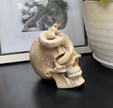 Carved Cobra Skull Sculpture Human Skull Carving