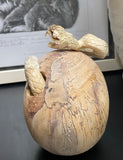 Carved Cobra Skull Sculpture Human Skull Carving