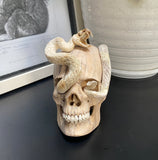 Carved Cobra Skull Sculpture Human Skull Carving