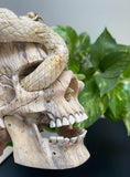 Carved Cobra Skull Sculpture Human Skull Carving