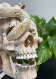 Carved Cobra Skull Sculpture Human Skull Carving