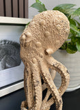gorgeous Octopus Sculture 11''standing Octopus Wooden Statue Carving