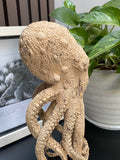 gorgeous Octopus Sculture 11''standing Octopus Wooden Statue Carving