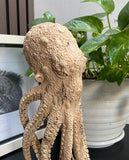gorgeous Octopus Sculture 11''standing Octopus Wooden Statue Carving
