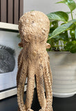 gorgeous Octopus Sculture 11''standing Octopus Wooden Statue Carving