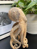 9'' Carved Octopus Devil Fish Skull Statue Carved Wooden Carving Octopus Skull