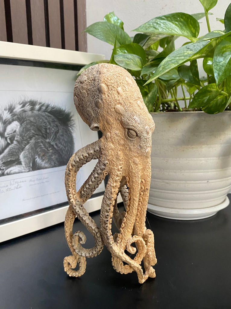 9'' Carved Octopus Devil Fish Skull Statue Carved Wooden Carving Octopus Skull