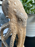9'' Carved Octopus Devil Fish Skull Statue Carved Wooden Carving Octopus Skull