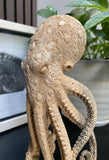 9'' Carved Octopus Devil Fish Skull Statue Carved Wooden Carving Octopus Skull