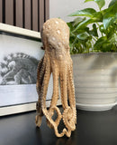 9'' Carved Octopus Devil Fish Skull Statue Carved Wooden Carving Octopus Skull