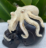 Black Wood Carved Human Skull Sculpture with Octopus Carving made from Antler