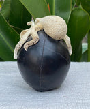 Black Wood Carved Human Skull Sculpture with Octopus Carving made from Antler