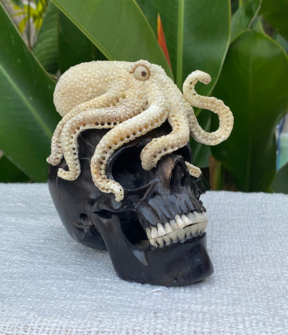 Black Wood Carved Human Skull Sculpture with Octopus Carving made from Antler