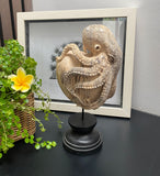 Hand Carved 10''standing Octopus on Heart oddities Carved Wooden Heart Statue