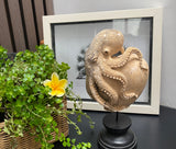 Hand Carved 10''standing Octopus on Heart oddities Carved Wooden Heart Statue