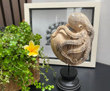 Hand Carved 10''standing Octopus on Heart oddities Carved Wooden Heart Statue