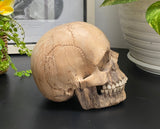 Grinning Human Skull Replica Wooden Sculpture Realistic Replica Human Skull