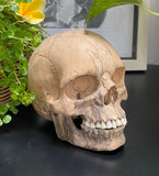 Grinning Human Skull Replica Wooden Sculpture Realistic Replica Human Skull