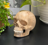 Grinning Human Skull Replica Wooden Sculpture Realistic Replica Human Skull