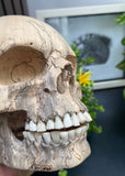 Grinning Human Skull Replica Wooden Sculpture Realistic Replica Human Skull