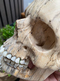 Grinning Human Skull Replica Wooden Sculpture Realistic Replica Human Skull