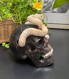 Cobra Skull Black Wood Carved Human Skull Sculpture Snake Carving from Antler