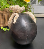 Cobra Skull Black Wood Carved Human Skull Sculpture Snake Carving from Antler