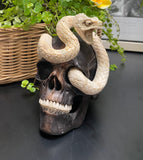 Cobra Skull Black Wood Carved Human Skull Sculpture Snake Carving from Antler
