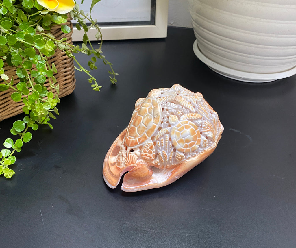 Ocean Life Carved Shell Genuine natural Cypraca Cassis Rupa with Turtle Carving