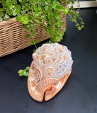 Flower Mandala Carving onl Genuine natural Cypraca Cassis Rupa Sea Shell