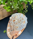 Flower Mandala Carving onl Genuine natural Cypraca Cassis Rupa Sea Shell