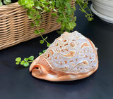 Flower Mandala Carving onl Genuine natural Cypraca Cassis Rupa Sea Shell