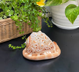 Flower Mandala Carving onl Genuine natural Cypraca Cassis Rupa Sea Shell