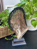 Hummingbird Shell with Flowers carved mother of pearl Genuine natural 10'' Sea Shell