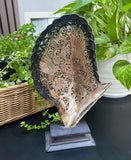 Hummingbird Shell with Flowers carved mother of pearl Genuine natural 10'' Sea Shell