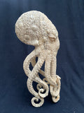 gorgeous 10''standing Octopus Carved Wooden Statue Carving, Carved Octopus Skull