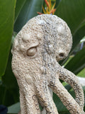 gorgeous 10''standing Octopus Carved Wooden Statue Carving, Carved Octopus Skull