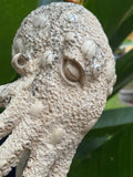 gorgeous 10''standing Octopus Carved Wooden Statue Carving, Carved Octopus Skull