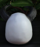 Devil's Goat Custom Helmet 666 Damon Goat from the Hell Hellfire
