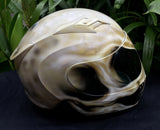 Skull Skeleton Death Skull Motorcycle Helmet
